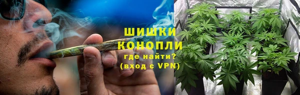 тгк Богданович
