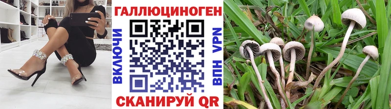 Псилоцибиновые грибы GOLDEN TEACHER  Медынь 